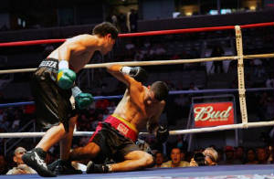 boxing1.jpg